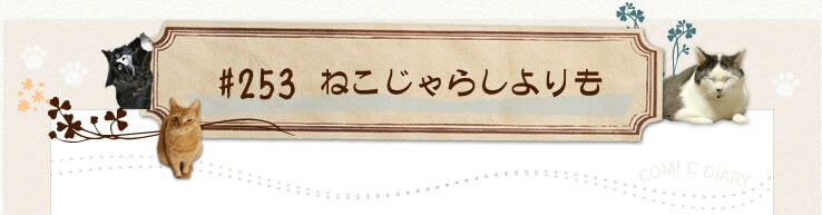 #253 �˂�����炵����