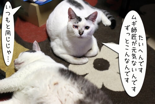 ���C�����H