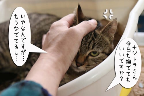 �摜1