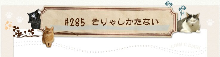 #285 そりゃしかたない