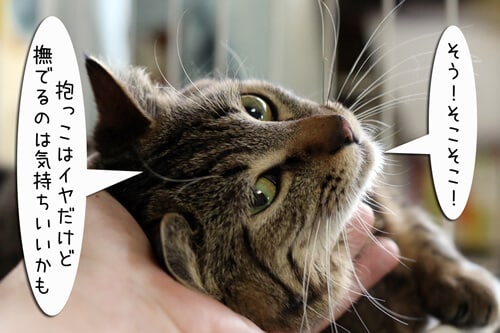 �摜3