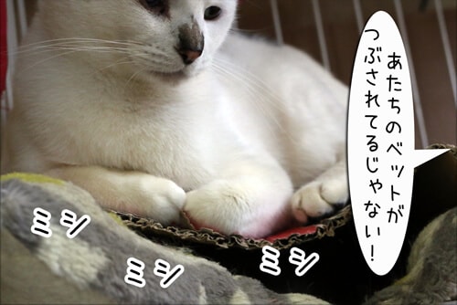 �摜5