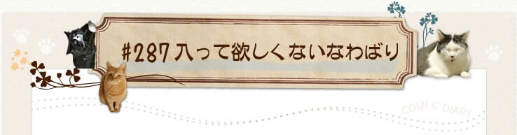 #287 入って欲しくないなわばり
