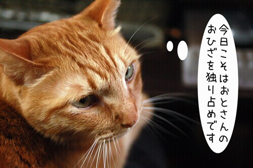 �摜1