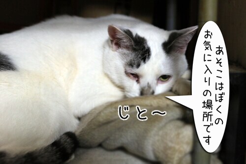 �摜3