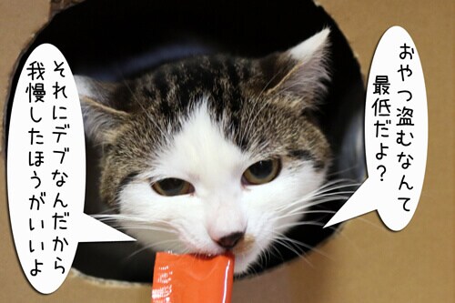 �摜7
