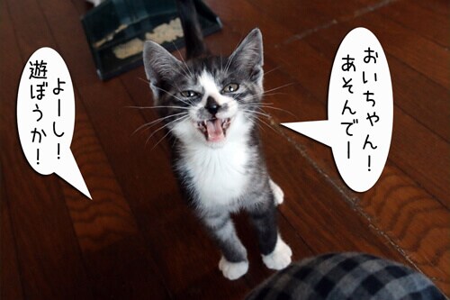 画像3
