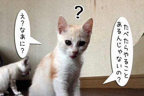 �摜4