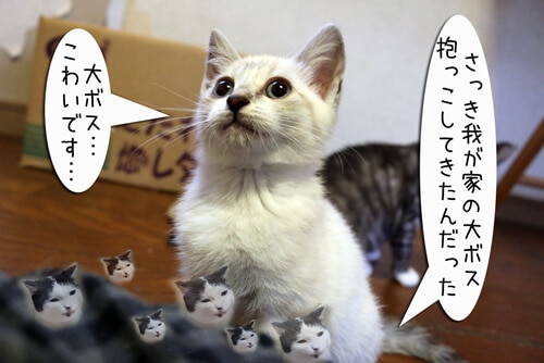 �摜8