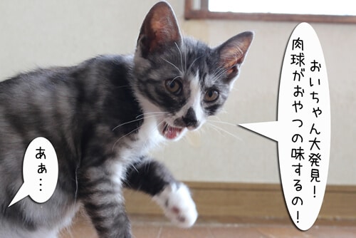 画像7