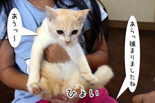 画像3