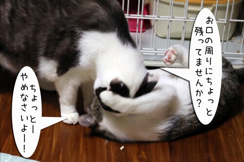 �摜6