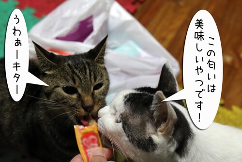 画像5
