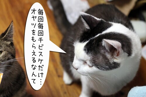 �摜2