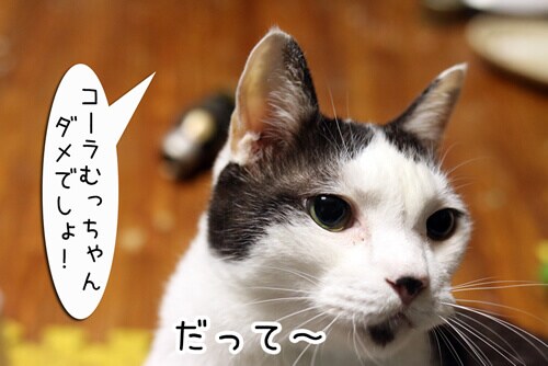 �摜4