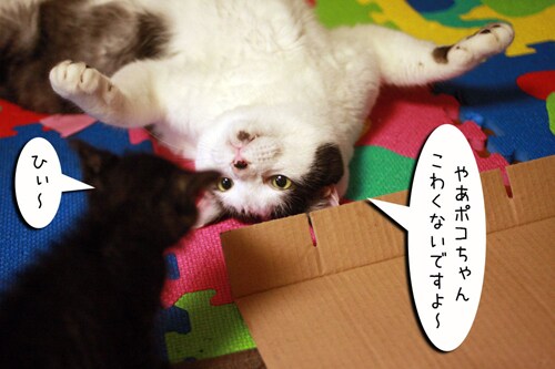 画像5