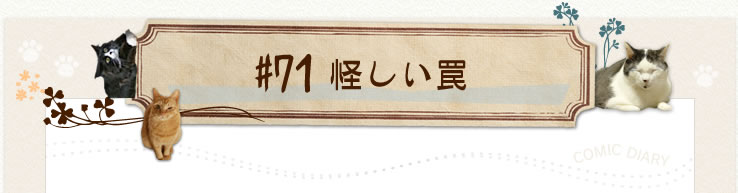 #71 怪しい罠