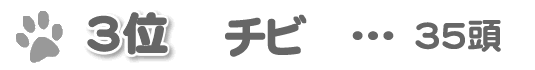 3位 チビ 35等