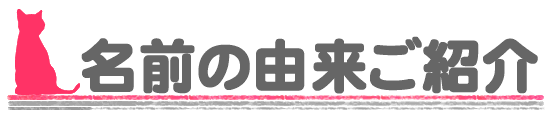 名前の由来ご紹介