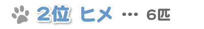 �Q�ʁ@�q���@�c6�C