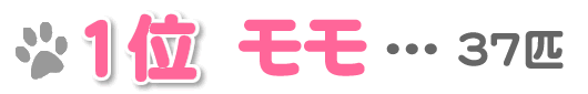�y��P�ʁz�����c37�C