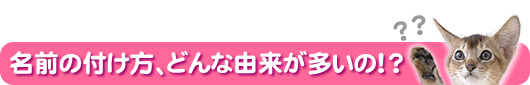 ���O�̕t�����A�ǂ�ȗR���������́H