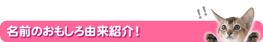 ���O�̕t�����A�ǂ�ȗR���������́H