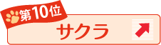 第10位 サクラ ↑