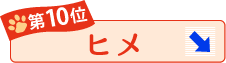 第10位 ヒメ ↓