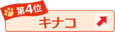第4位 キナコ ↑