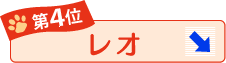 第4位 レオ ↓