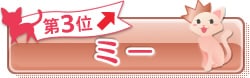 第3位 ミー ↑