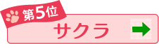 第5位 サクラ →