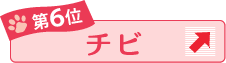 第6位 チビ ↑