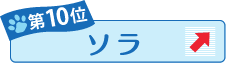 第10位 ソラ ↑