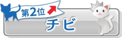 第2位 チビ ↑