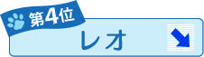 第4位 レオ ↓