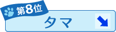 第8位 タマ ↓