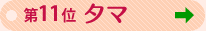 ��P�P�ʁ@�^�}�@��