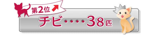 第2位 チビ 38匹 ↑