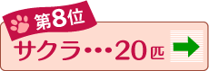 第8位 サクラ 20匹 →