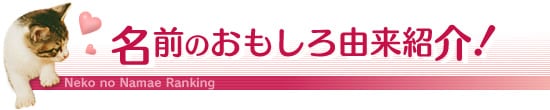 名前のおもしろ由来紹介!