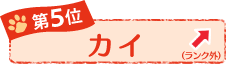 ��T�ʁ@�J�C�@��