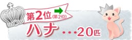 ��Q�ʁ@�n�i�@�Q�O�C�@��