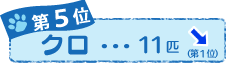 �T�ʁ@�N���@�P�P�C�@��