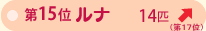 ��P�T�ʁ@���i�@�P�S�C�@��