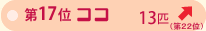 ��P�V�ʁ@�R�R�@�P�R�C�@��