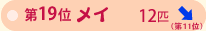 �P�X�ʁ@���C�@�P�Q�C�@��