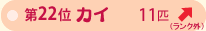 ��Q�Q�ʁ@�J�C�@�P�P�C�@��