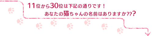 �P�P�ʂ���R�O�ʂ܂ł́A���L�̒ʂ�ł��I���Ȃ��̔L�����̖��O�͂���܂����H�H�H